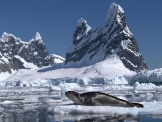 Investigadores analizando datos atmosféricos sobre el continente antártico y el hielo marino