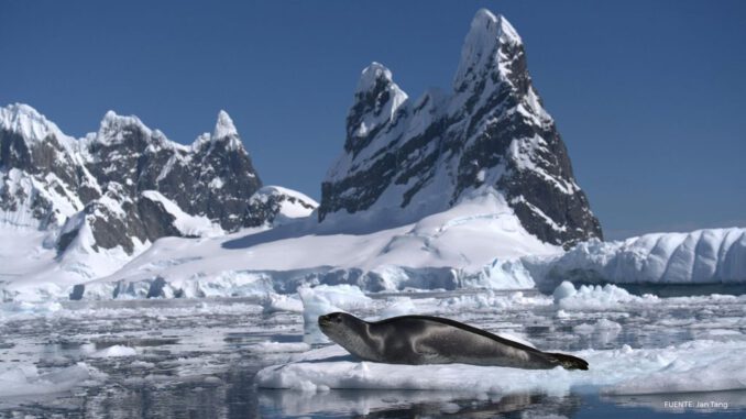 Investigadores analizando datos atmosféricos sobre el continente antártico y el hielo marino