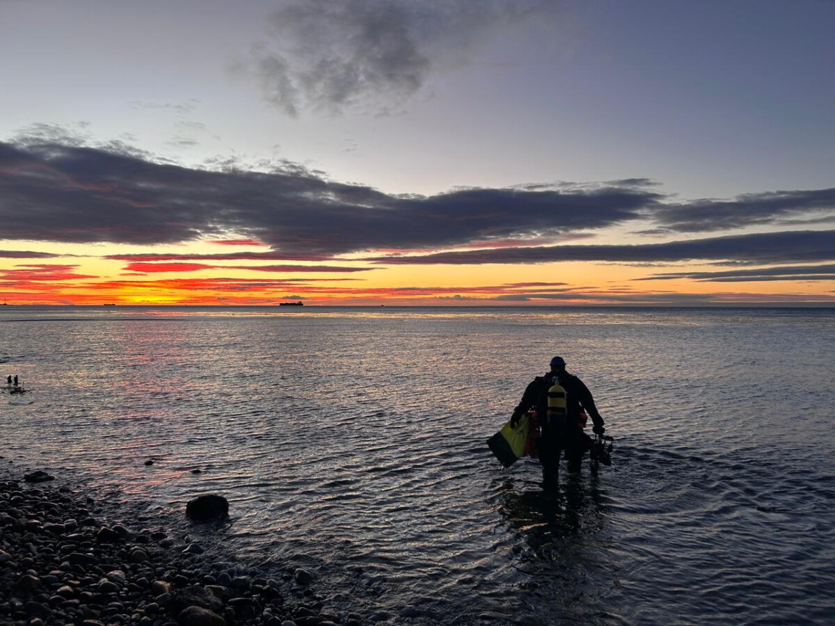 Paisaje costero de la Antártida bajo estudio científico para analizar el impacto humano en el ecosistema.