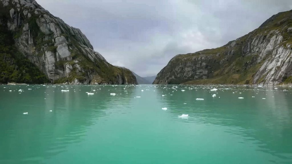Ballena nadando en los canales australes representando la conexión espiritual con el pueblo Kawésqar