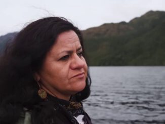 Ballena nadando en los canales australes representando la conexión espiritual con el pueblo Kawésqar