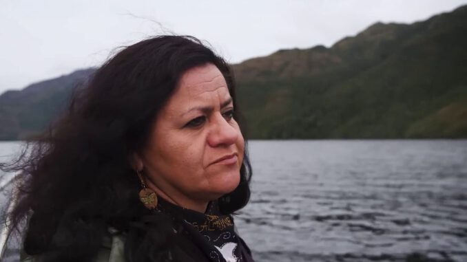Ballena nadando en los canales australes representando la conexión espiritual con el pueblo Kawésqar