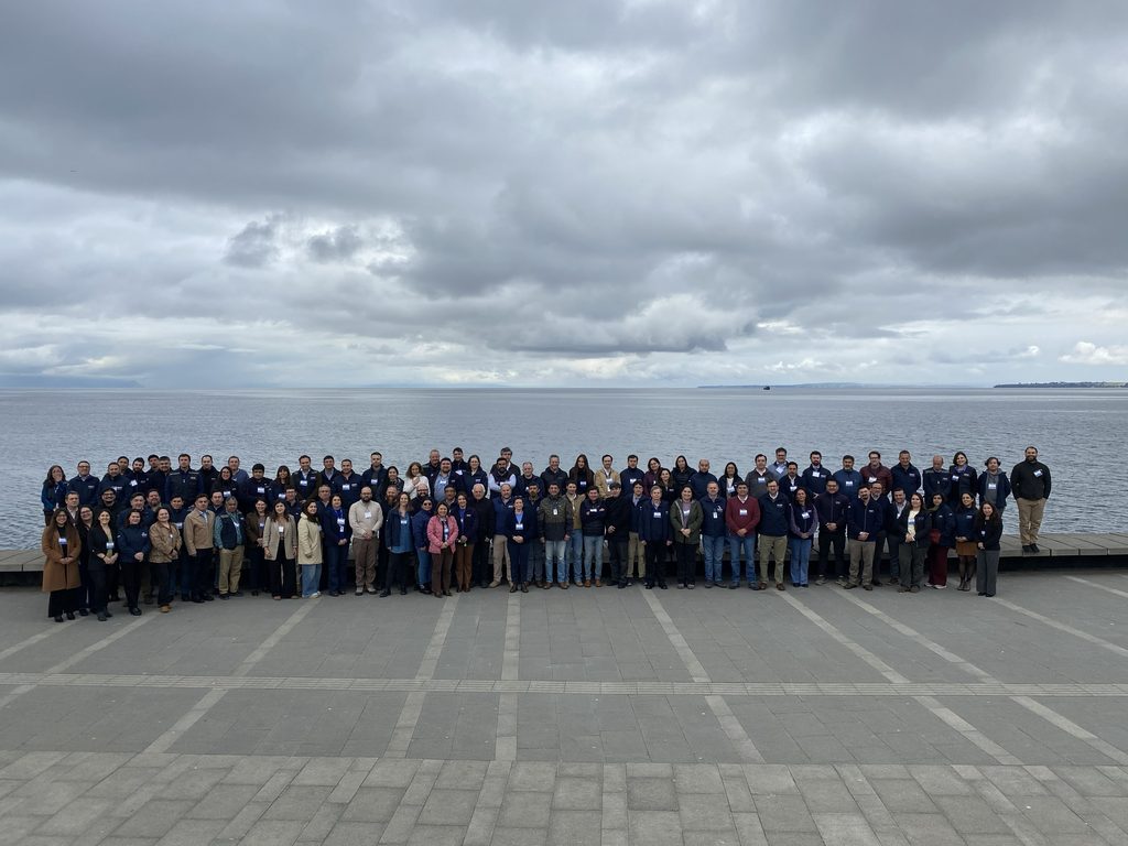 Funcionarios de INDAP reunidos en una jornada de alineamiento estratégico en Puerto Montt