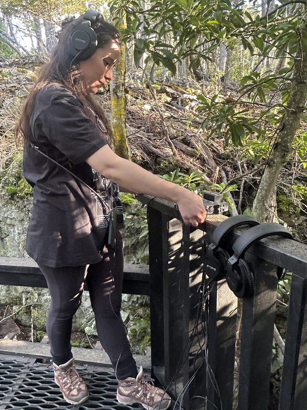 Visitantes utilizando equipos de amplificación y audífonos para escuchar los sonidos de los árboles y musgos en el Parque Omora en Puerto Williams