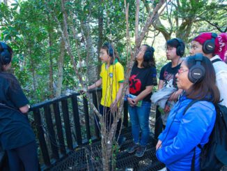 Visitantes utilizando equipos de amplificación y audífonos para escuchar los sonidos de los árboles y musgos en el Parque Omora en Puerto Williams